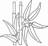 Bamboo Coloriage Plante Coloring Imprimer Dessin Drawings Dessins Colorier Plants sketch template