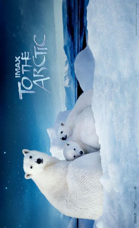 To The Arctic 3d 2012 Movie Posters