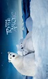 To the Arctic 3D (2012) movie posters
