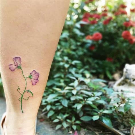 Top 57 Best Sweet Pea Flower Tattoo Ideas 2021 Inspiration Guide