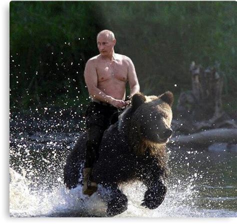 Vladimir Putin Riding A Bear Metal Print By