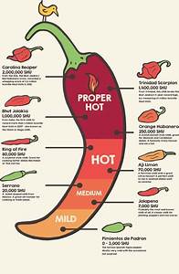 Types Of Chillies In The World Google Search Chillies Pinterest