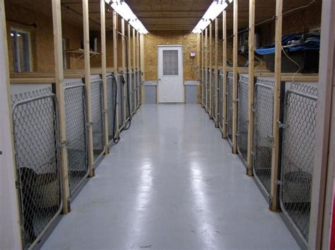 Notes On Building A Kennel Or Kennel Complex Dog Boarding Kennels
