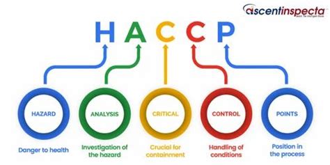 Haccp Certification Service At Best Price In Mumbai