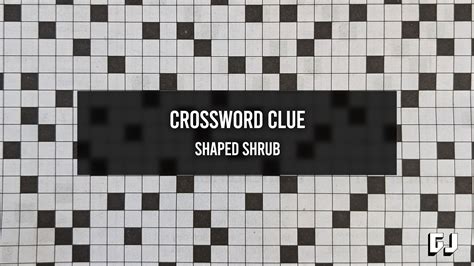 Shaped Shrub Crossword Clue Gamer Journalist
