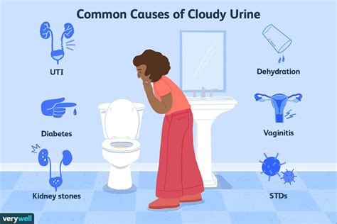 What Does Pregnant Pee Look Like Causes And When To See Doctor