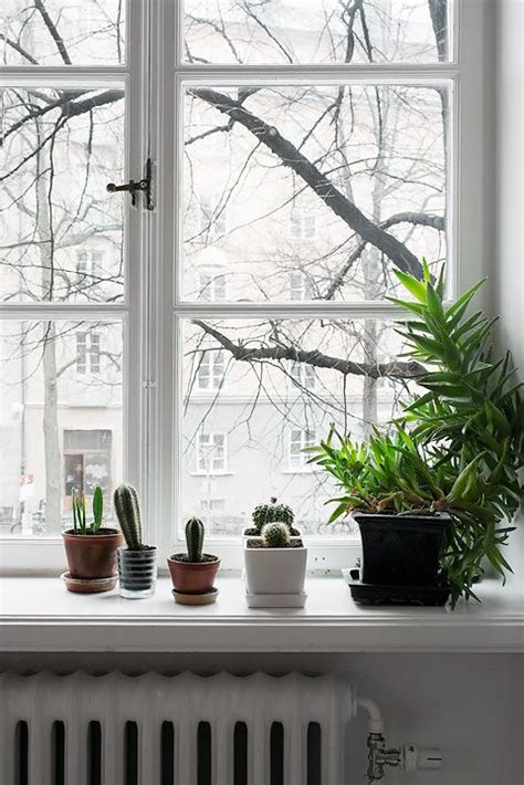 See these 99 ideas on how to display houseplants for inspiration. Most Attractive Window Ledge Decor Ideas - The ...
