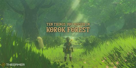 Zelda Breath Of The Wild 10 Things You Missed In Korok Forest