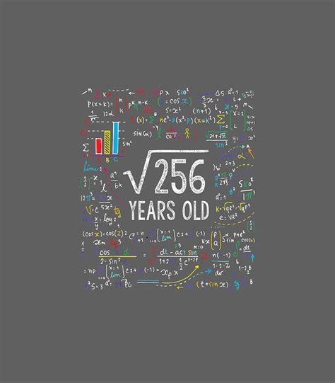 Square Root Of 256 16th Birthday 16 Year Old Math Bday Digital Art By