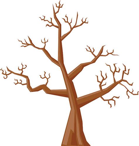 Cartoon Tree Trunk Tree Leaves Without Clipart Clipartpanda Trees