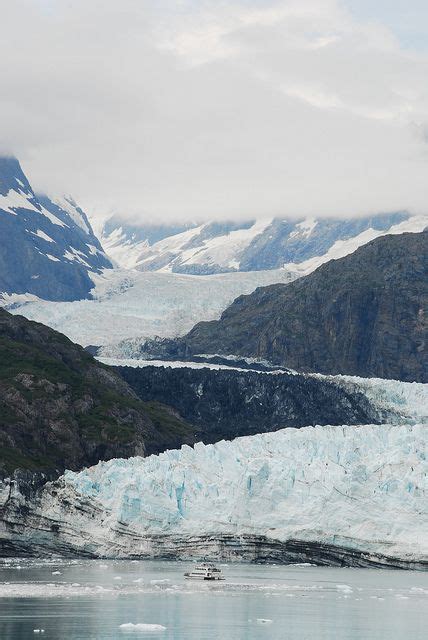 Johns Hopkins Glacier Glacier Bay Alaska Alaska Travel Glacier