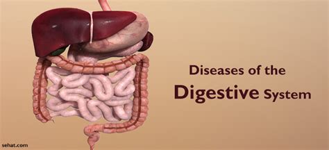6 Most Common Diseases Of The Digestive System List