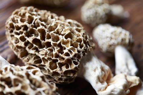 The 13 Most Common Types Of Mushrooms—and What To Do With Them Myrecipes