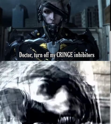 Best Metal Gear Rising Revengeance Memes