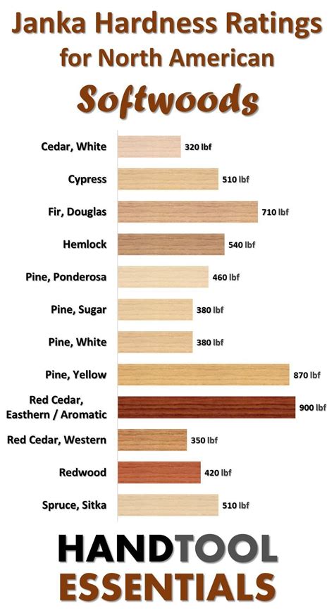 All Wood Types And Their Hardness