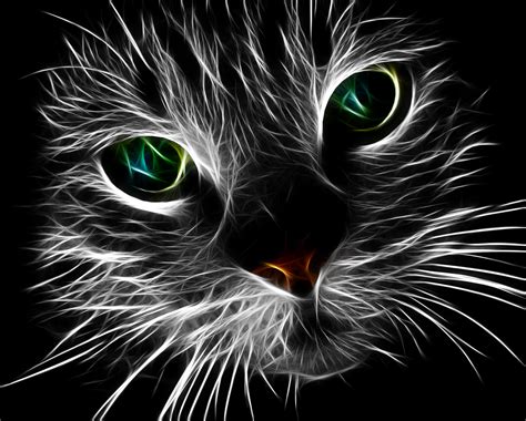 Abstract Drawing Of A Cat Face Free Image Download