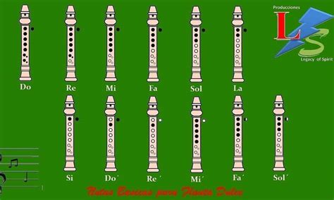 Domina La Flauta Dulce Con Este Tutorial Paso A Paso Para Principiantes