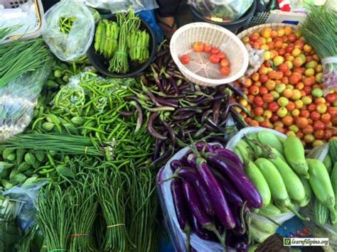 Fresh Vegetables From The Farm Learn Filipino