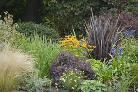 The Best Ornamental Grasses Landscape For Beautiful Garden Magzhome