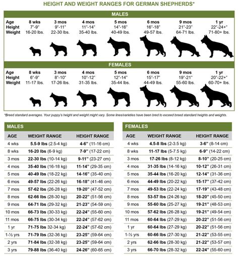 Growth Charts Gsd Living