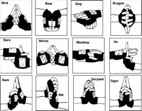 Sep 23, 2017 · •how to: Anime Galleries dot Net - Pics I found online/Naruto ninja hand signs Pics, Images, Screencaps ...