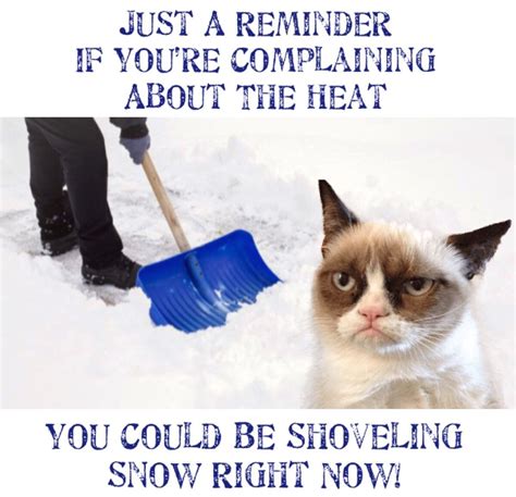 Grumpy Cat Is Glad To Not Be Shoveling Snow Right Now