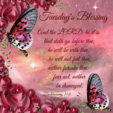 Tuesday S Blessing Good Morning Tuesday Tuesday Quotes Happy Tuesday
