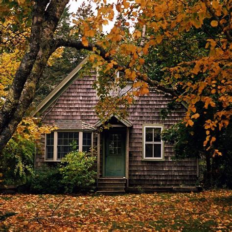 Fallen Leaves Pumpkin Pies And Cozy Weather Cabins And Cottages