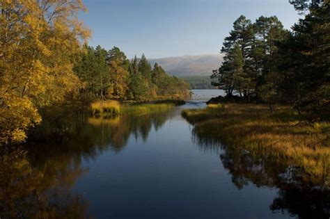 Autumn Loch Morlich Cairngorm National Park Scottish Highlands