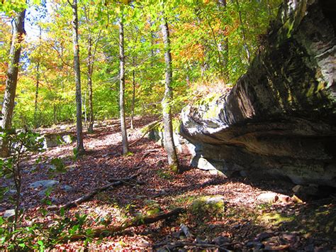 50 State Trail Riding Project Mammoth Cave National Parks First