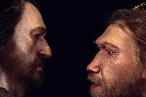 Science Seeks Clues To Human Health In Neanderthal Dna Shots Health