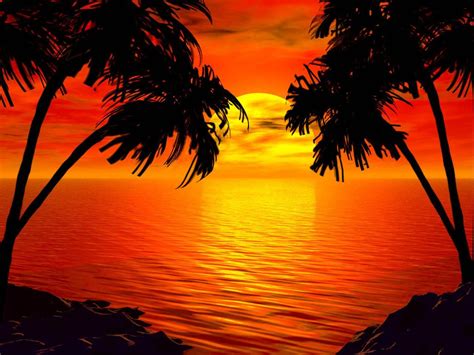 Tropical Paradise Sunset Wallpapers Gallery