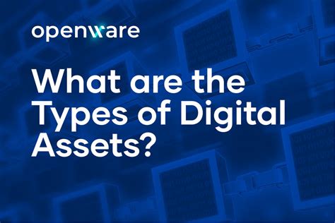 What Are The Different Types Of Digital Assets