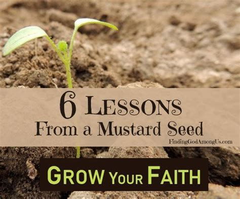 What Life Lessons Can We Learn From A Tiny Mustard Seed Learn Six