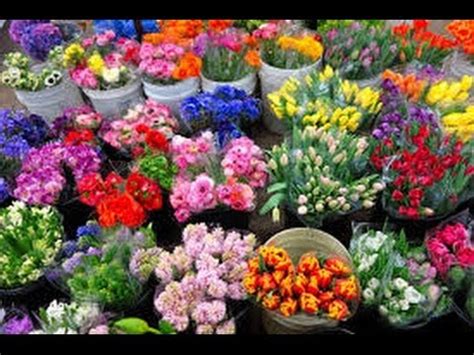 Hours, address, flower market reviews: Los Angeles flower district - YouTube