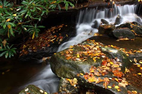 Waterfall And Stream In Autumn Stock Photo Image Of Hiking Parkway
