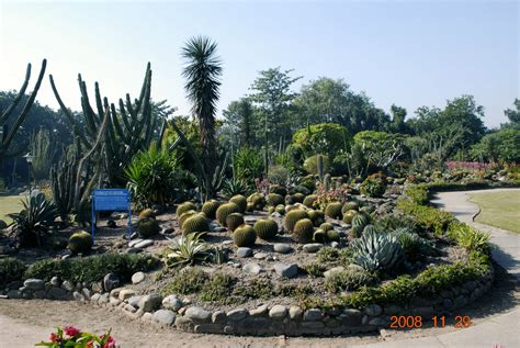 Lorem ipsum dolor sit ametd consecer tetur adi isicing eluem sed do eiusmod tempor adipliiisi. Tours and Travels: Botanical Garden In Chandigarh,Gardens ...