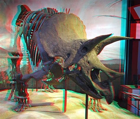 Dinosaurs Anaglyph 3d Patrick Swinnea Flickr