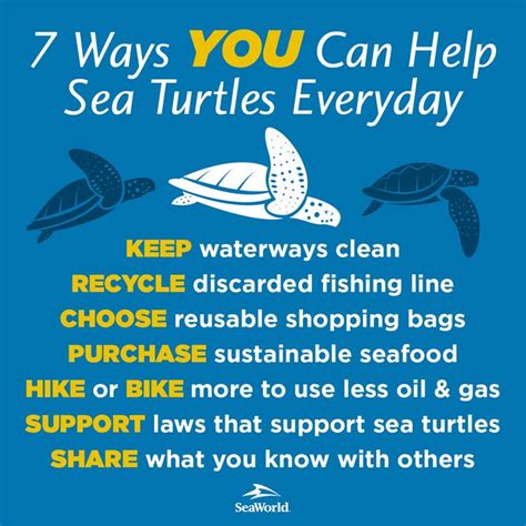 7 Ways You Can Help Sea Turtles Everyday Under The Sea Pinterest