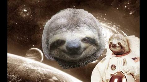 Sloth In Space Wallpapers Wallpaper Cave