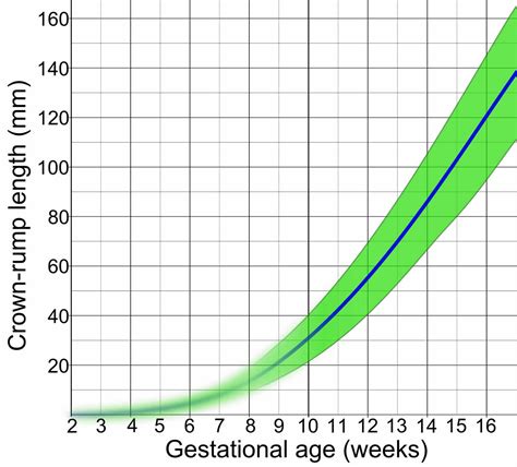 Gestational Sac Size Chart By Week In Cm