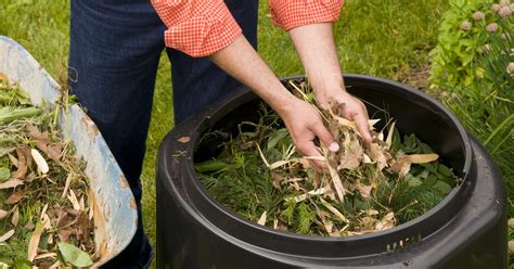 Tips For Composting Success Metro