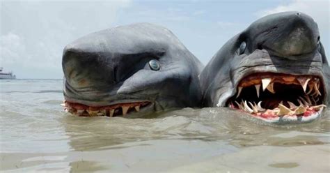 Lattaque Du Requin à Deux Têtes