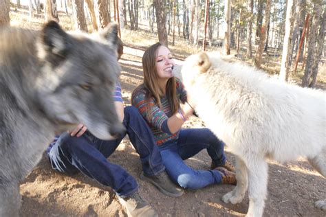 Colorado Wolf And Wildlife Center Prices Life Gets Hard