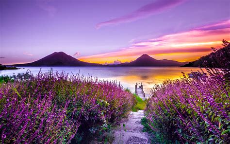 2880x1800 Volcano Sunset Flower Purple Dreamy Landscape 4k 5k Macbook