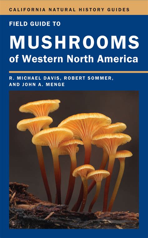 Field Guide To Mushrooms Of Western North America By Mike Davis Robert
