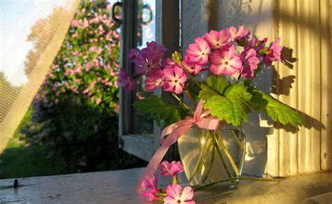 Spring flowers hyacinth ,in violet vase, on window sill. Banco de Imágenes: 10 fondos bonitos de 1920x1200px para ...