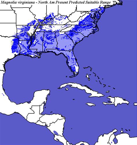 We did not find results for: Home Range Shifts for Magnolia_virginiana Predicted Under ...