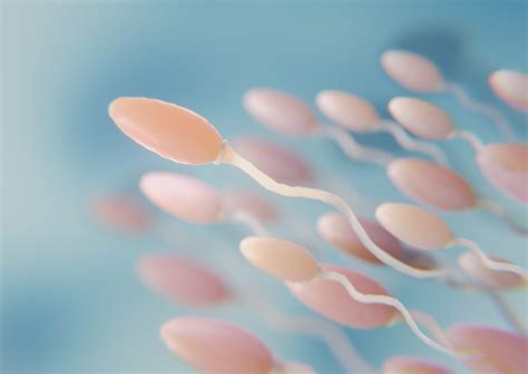 Как улучшить вкус спермы evalina