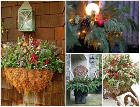 10 Fabulous Winter Container Garden Ideas